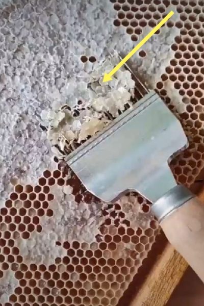 -۲۱۴۷۴۸۳۶۴۸_-۲۱۰۲۰۰ -2147483648_-210200