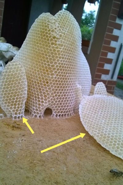 -۲۱۴۷۴۸۳۶۴۸_-۲۱۰۲۰۲ -2147483648_-210202